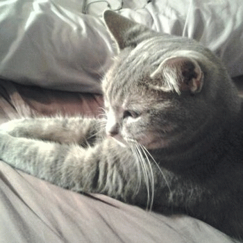 Sloth (USA-2) : Will I Ever Get Out of Samsara?